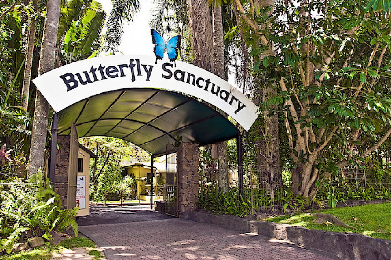 The Australian Butterfly Sanctuary EdTripper